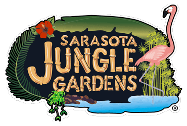 Sarasota Jungle Gardens Sarasota S Favorite Family Attraction